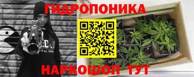 ешки Лесосибирск