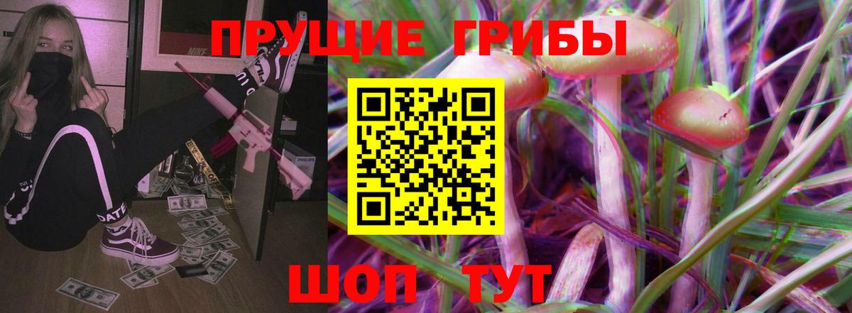Псилоцибиновые грибы мицелий Черногорск